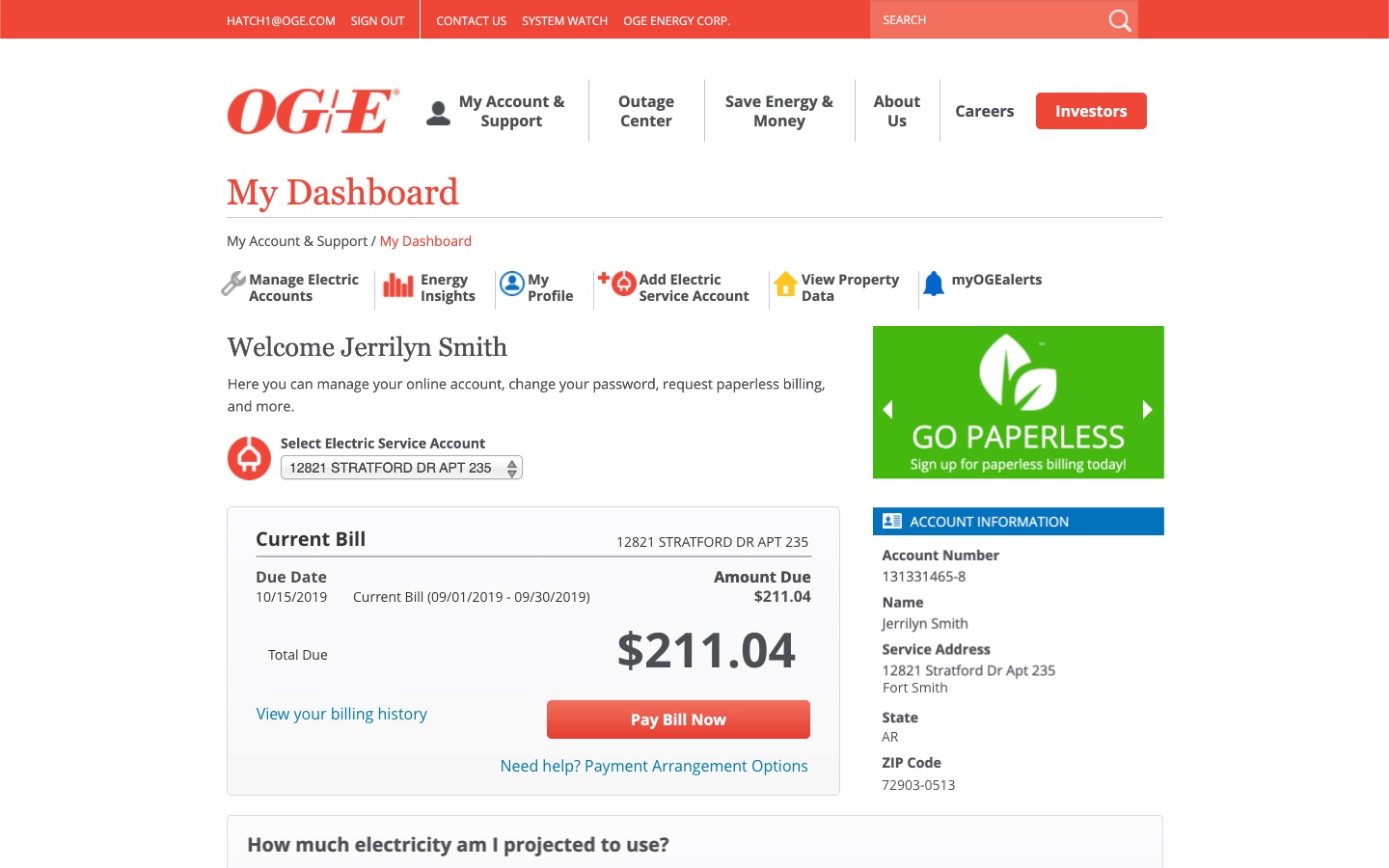 OGE website account summary before redesign.